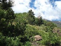 rrente Quarantore-20100606 055